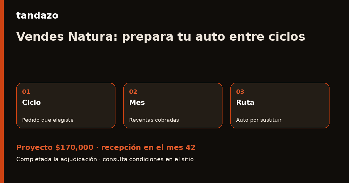 Esquema de planeación de Tandazo: Tus pedidos van por ciclos: tu auto lleva otro calendario. Recibes $170,000 en el mes 42