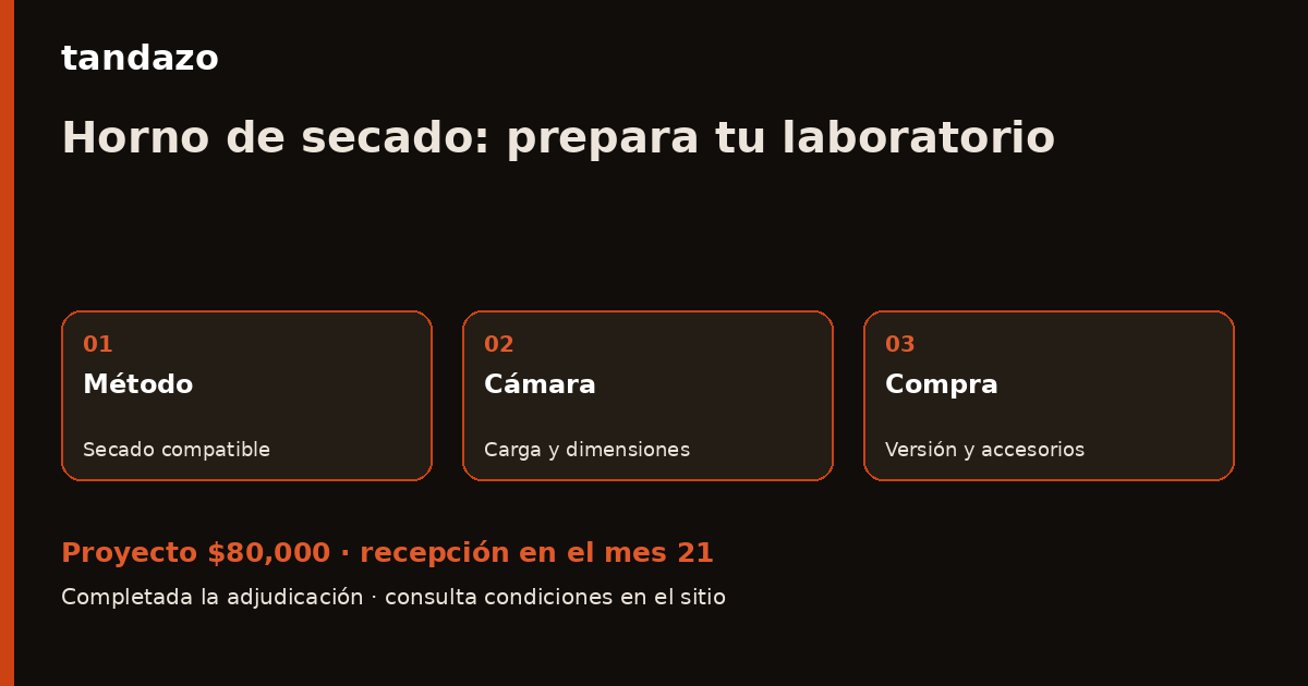 Esquema de planeación de Tandazo: Tu laboratorio ya trabaja: prepara un horno de secado. Recibes $80,000 en el mes 21
